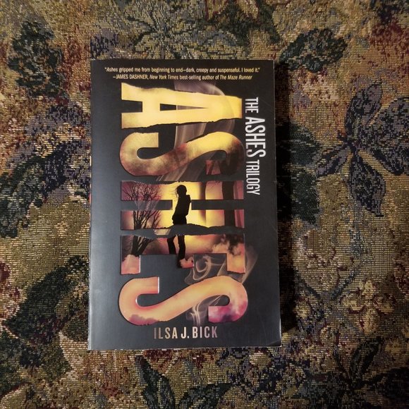 YA novel, Ashes by Ilsa J. Bick, horror, dystopian fiction, Carolrhoda Lab - Picture 1 of 3